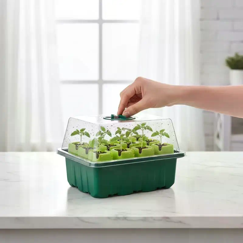 Dome Propagation Kit - 1Set Seed Starter Tray Mini Greenhouse
