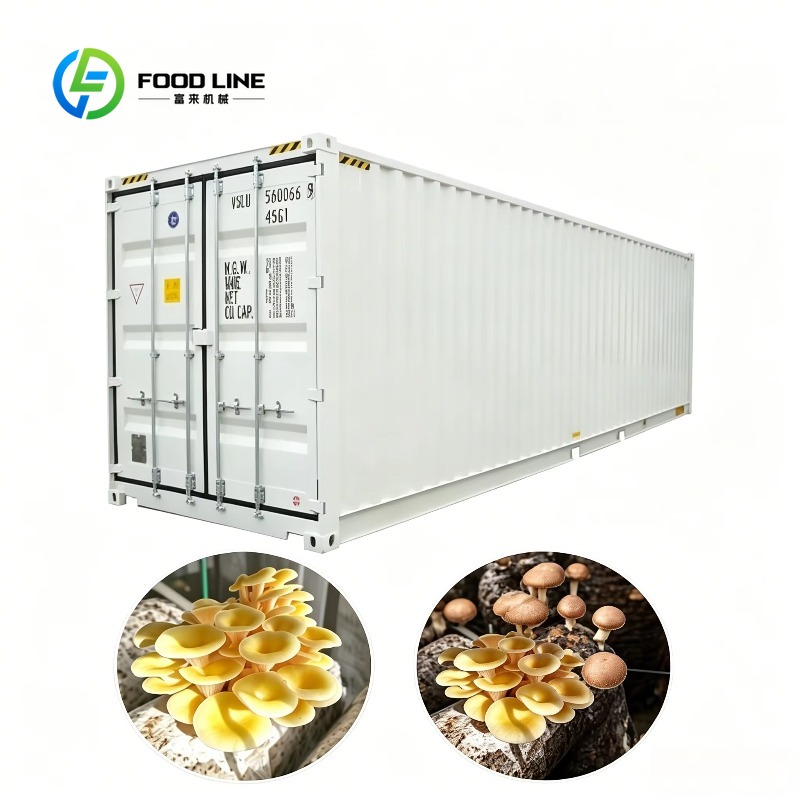Urban Farming Projects - Hydroponic Container Farm with Automated Irrigation
