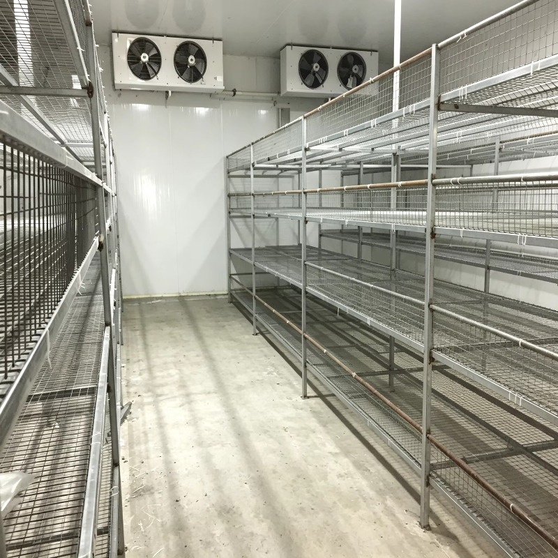 Hydroponic Container Farm with - Urban Farming Projects recension och pris