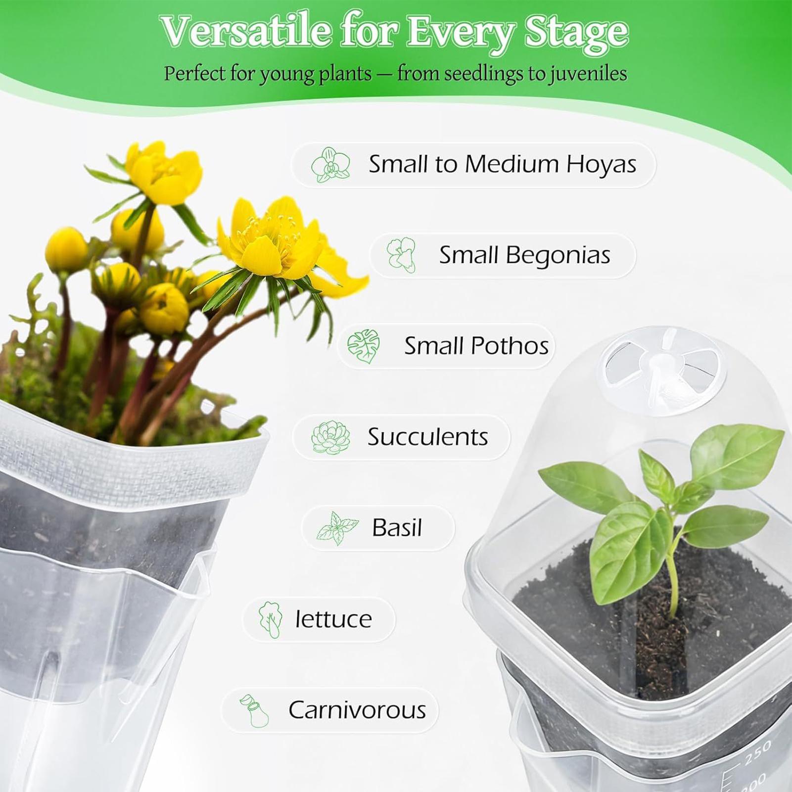 Self Watering Pots 12Pcs Seed  - Dome Propagation Kit recension och pris