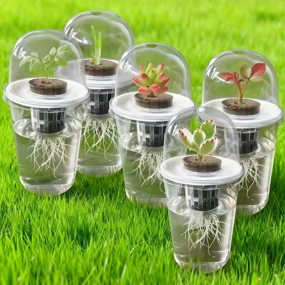 Hydroponic S Starter Cup Plant - Dome Propagation Kit recension och pris