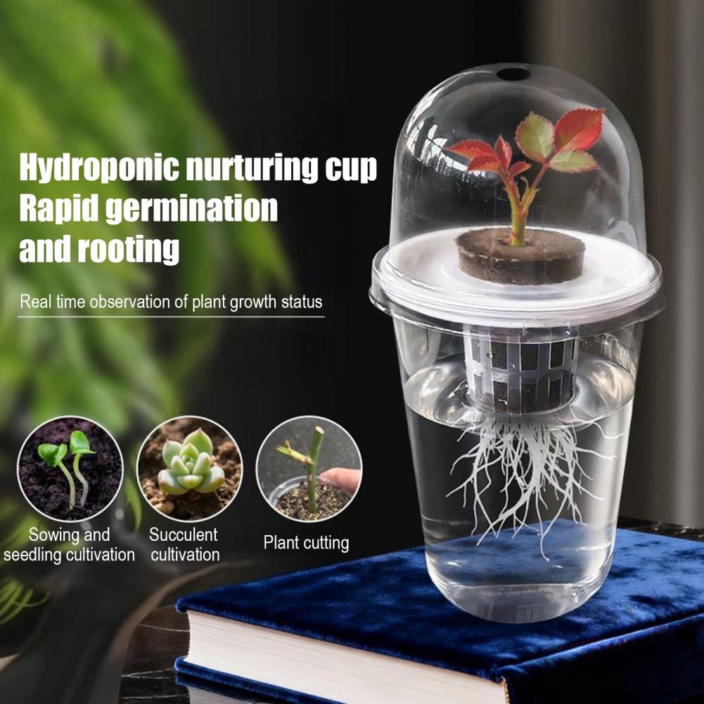 Hydroponic S Starter Cup Plant - Dome Propagation Kit recension och pris