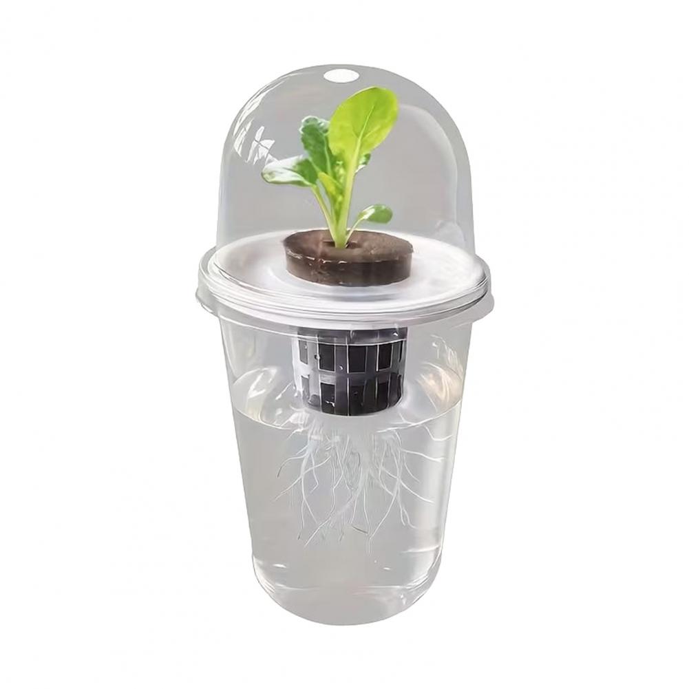 Hydroponic S Starter Cup Plant - Dome Propagation Kit recension och pris